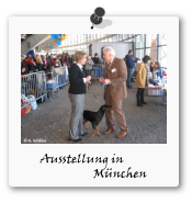 Ausstellung Mnchen