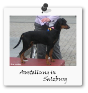 Austellung Salzburg