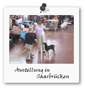 Austellung Saarbrcken