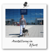 Ausstellung Erfurt