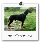 Austellung Jena