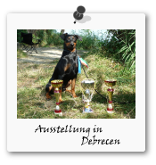 Ausstellung Debrecen