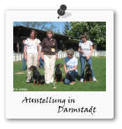 Austellung Darmstadt