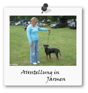Austellung Jarmen