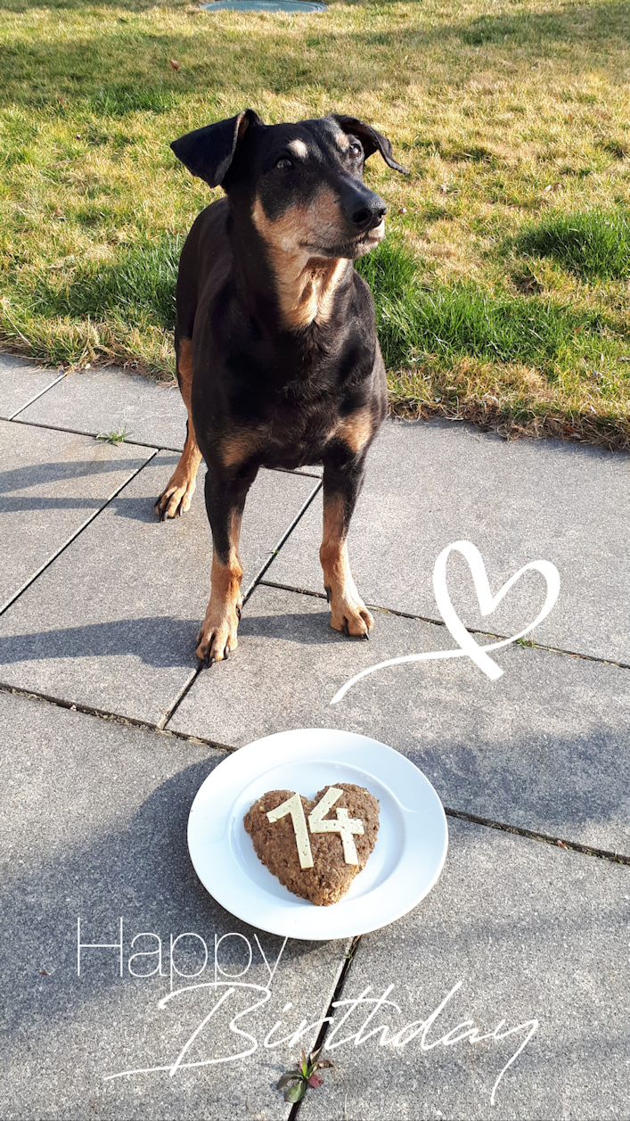 14.Geburtstag  