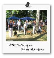 Ausstellung Kaiserslautern