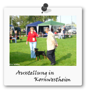 Austellung Kornwestheim